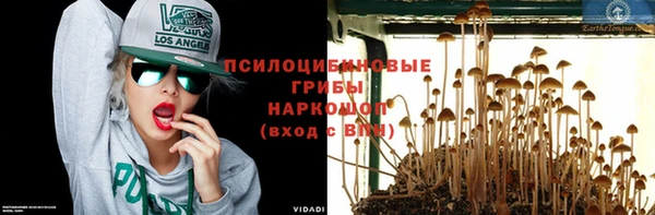 a pvp Козельск