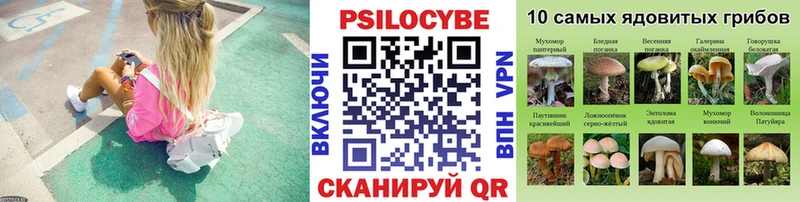 Псилоцибиновые грибы ЛСД  Купить где  Кашира 