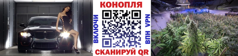 Купить  Кашира  МАРИХУАНА SATIVA & INDICA 